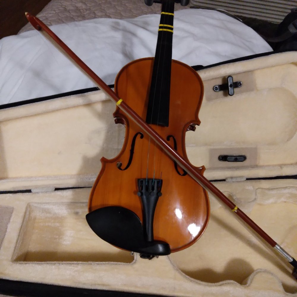 Viola - Picture 2 of 2
